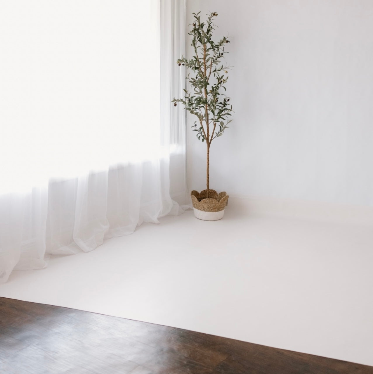 Artificial olive tree in a woven pot, bright room with white curtains and wooden floor.