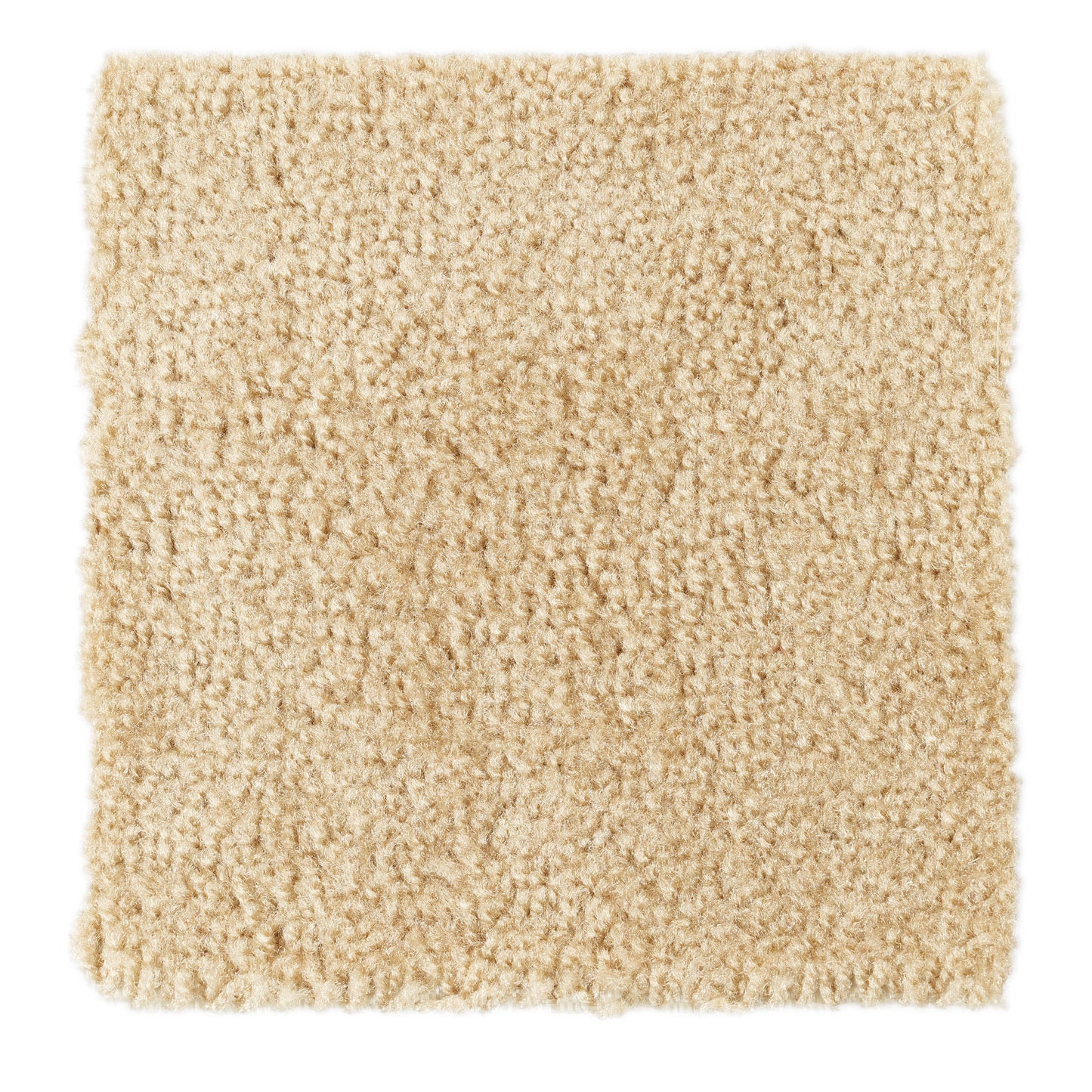 Soft beige shag rug, plush texture, perfect for cozy home decor.