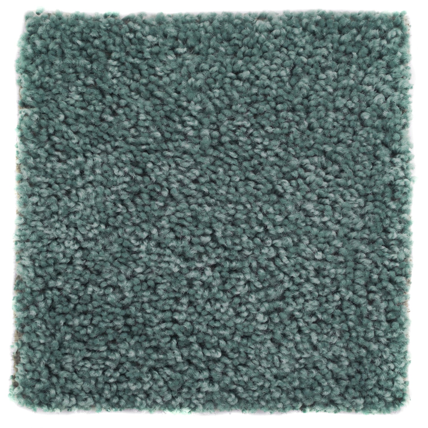 12ft Wide Plush Event Carpet | Caribbean