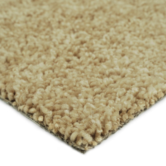 Soft beige shag rug, plush texture, perfect for adding warmth to any room.