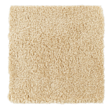 Soft beige shag rug, plush texture, perfect for cozy home decor.