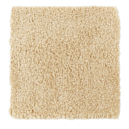 Soft beige shag rug, plush texture, perfect for cozy home decor.