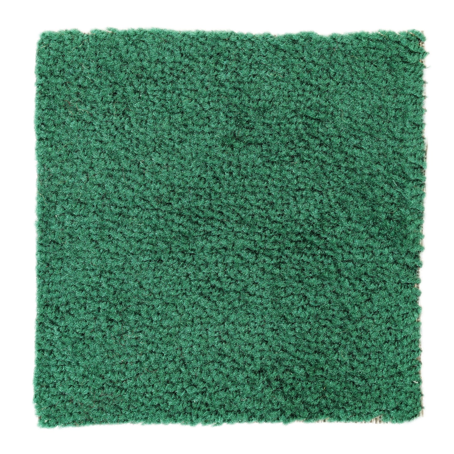 Soft green shag rug, plush texture, perfect for adding comfort to any room decor.