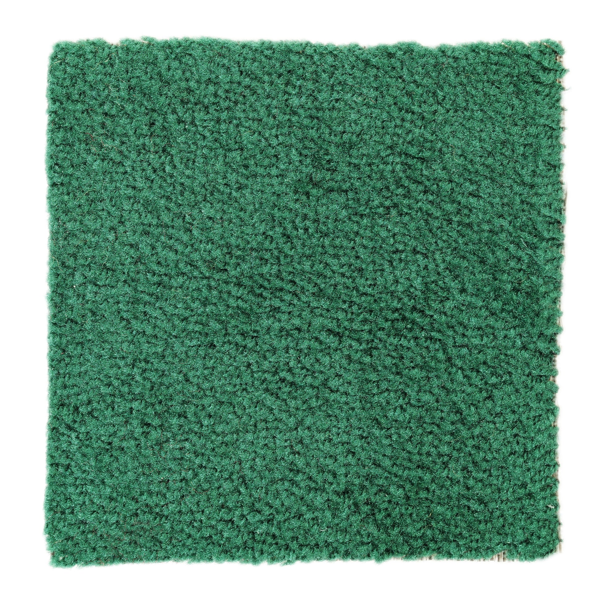 Soft green shag rug, plush texture, perfect for adding comfort to any room decor.