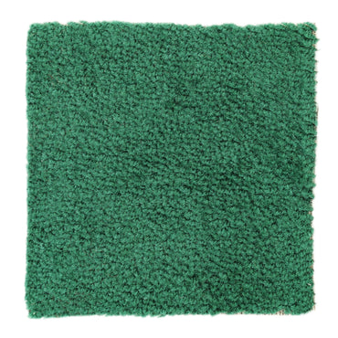 Soft green shag rug, plush texture, perfect for adding comfort to any room decor.