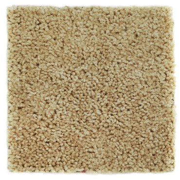 Soft beige shag rug made of plush material, perfect for adding warmth and texture to any space.