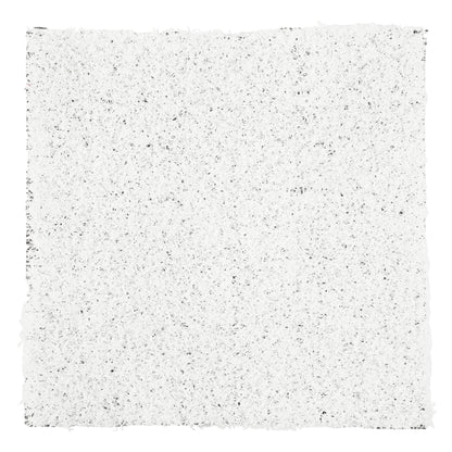 Soft white shag rug, plush texture, perfect for cozy living spaces or bedrooms.