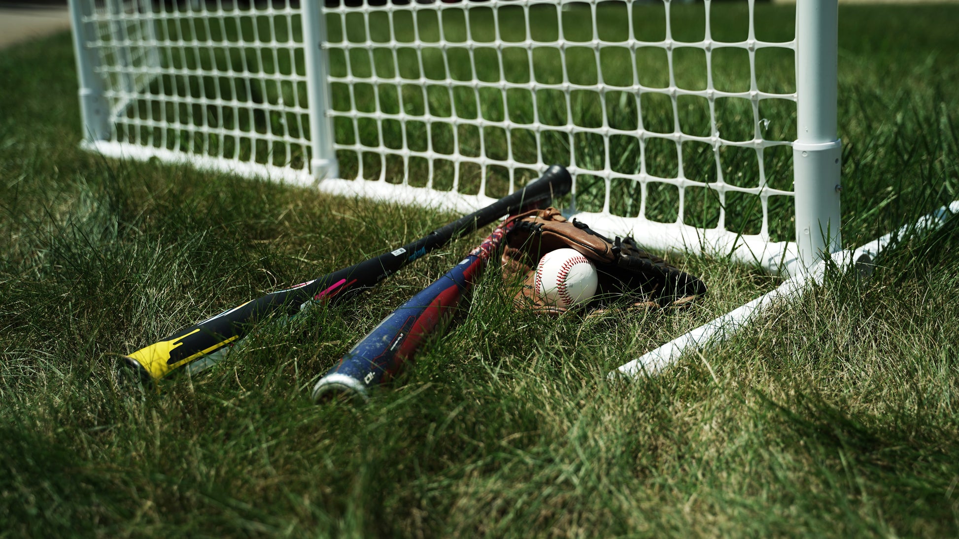 Baseball bats, glove, and ball on grass near a sports net, perfect for outdoor games.