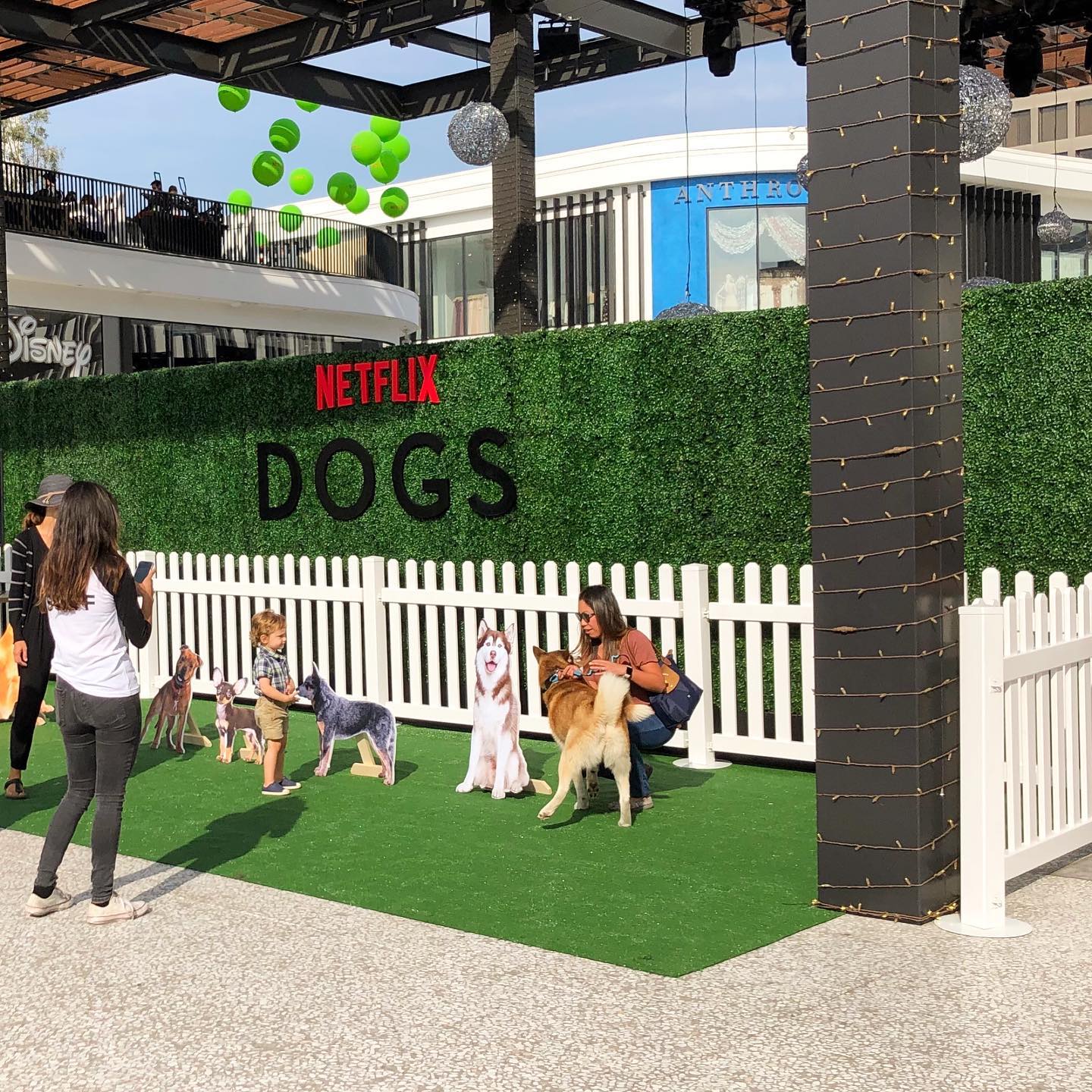 Photoshoot area for Netflix's 'Dogs' with faux grass, dog cutouts, and families interacting.