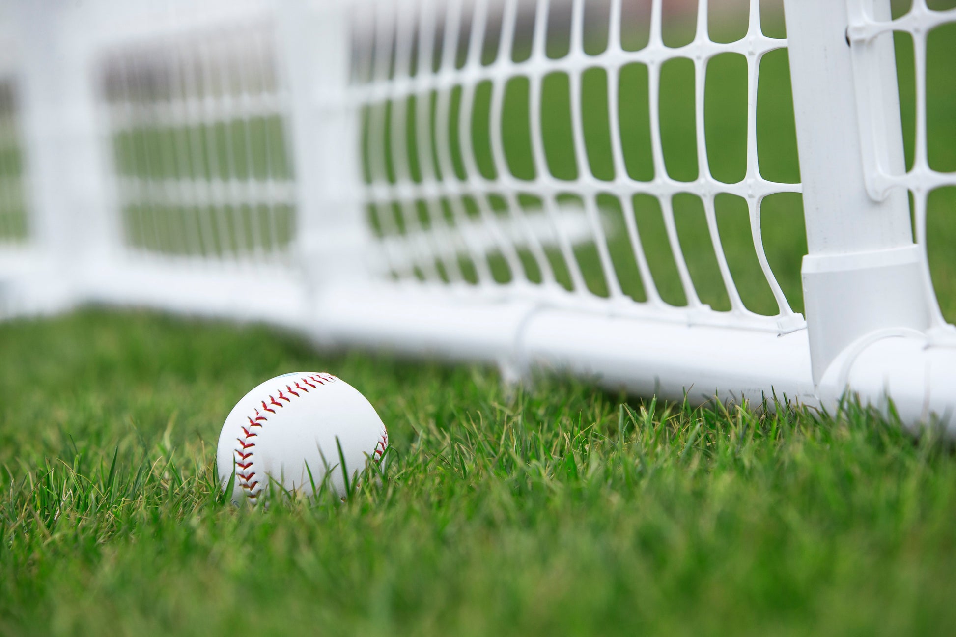 White baseball resting on green grass near a white net, perfect for outdoor sports activities.